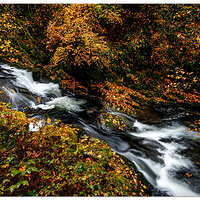 SC-StepFalls110221.jpg