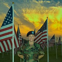 Healing_Fields