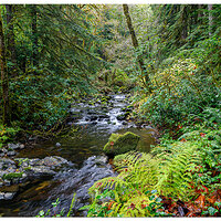 SC-AboveTheFalls110322.jpg