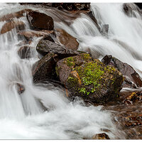 A Rock At Wahkeena