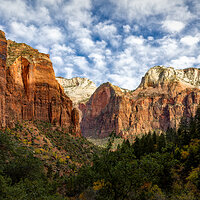 151103-3132-5DS- R-CR2_DxO_DeepPRIME.jpg