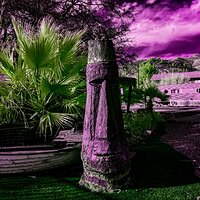 shady_dell_032023-1