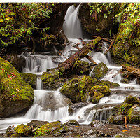 MerrimanFalls102509.jpg