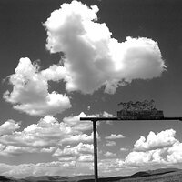 seven_springs_corral_bw