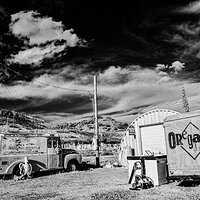 shady_dell_032023-bw