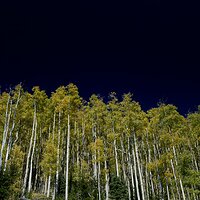 deep_blue-1