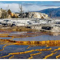 Mammoth Hot Springs