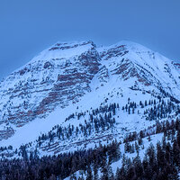230408-3306-R5-CR3_DxO_DeepPRIME.jpg