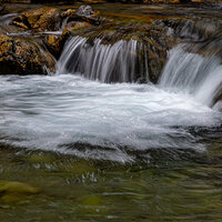 230408-3333-R5-CR3_DxO_DeepPRIME.jpg