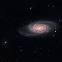 LRCC_sRGB_FW_NGC2902_RGB_WithStars.jpg