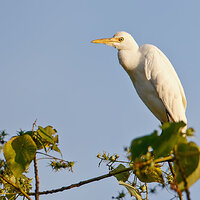 7D2_2433.jpg