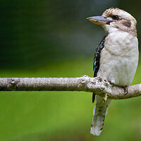 IMG_7401.jpg