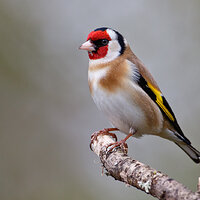 7D2_1160a.jpg