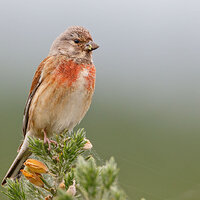 7D2_3825.jpg