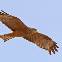 7D2_6724.jpg