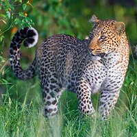 IMG_7926.jpg