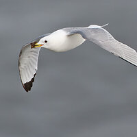 7D2_5977.jpg