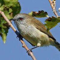 IMG_8369.jpg