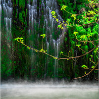 _BRC0511MossBrae45FB.jpg