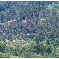 DJI_M3P_166-ShepperdsDell.jpg