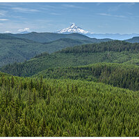 DJI_M3P_70-HoodGiffordPinchot061623.jpg