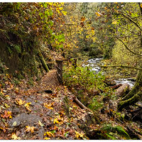 SC-CatwalkTrail110221.jpg