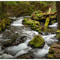WW-Panther Creek062118.jpg