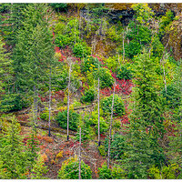 DJI_M3P_166_CRG-WahkeenaSpringsTrail092923.jpg