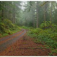 CumminsPeakRd110122.jpg