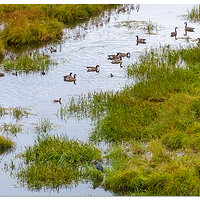 DJI_M3P_166_WW-MirrorLakeWF-1.jpg