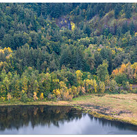 DJI_M3P_70_CRG-Latourell102323.jpg