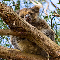 LRCC_sRGB_FW_TAP16365.jpg