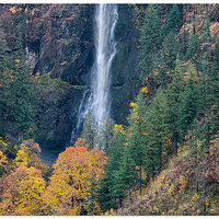 DJI_M3P_166_CRG-MultnomahFallsCloseup111023.jpg