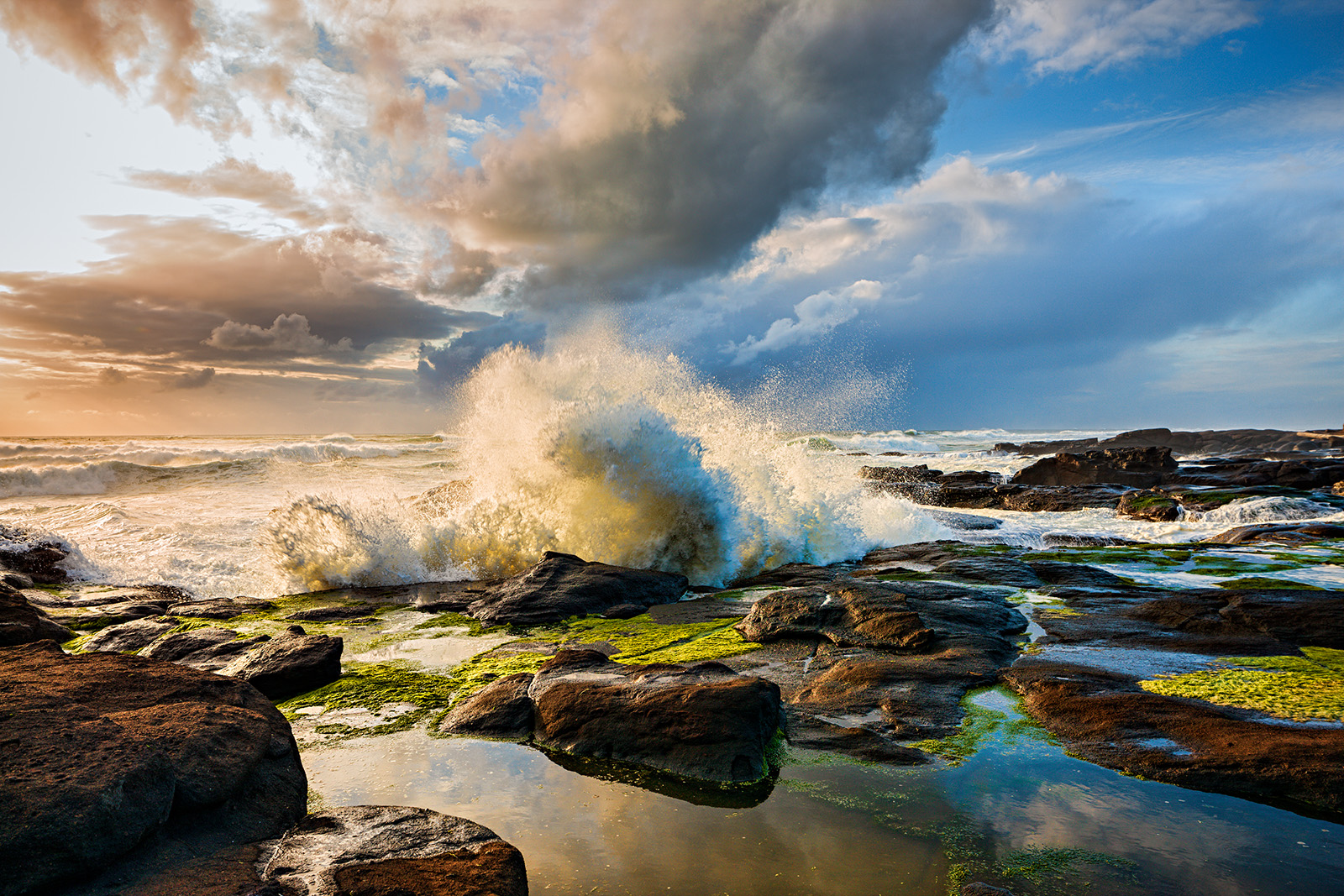 100520_mk3_0552 BC BW SHARP V