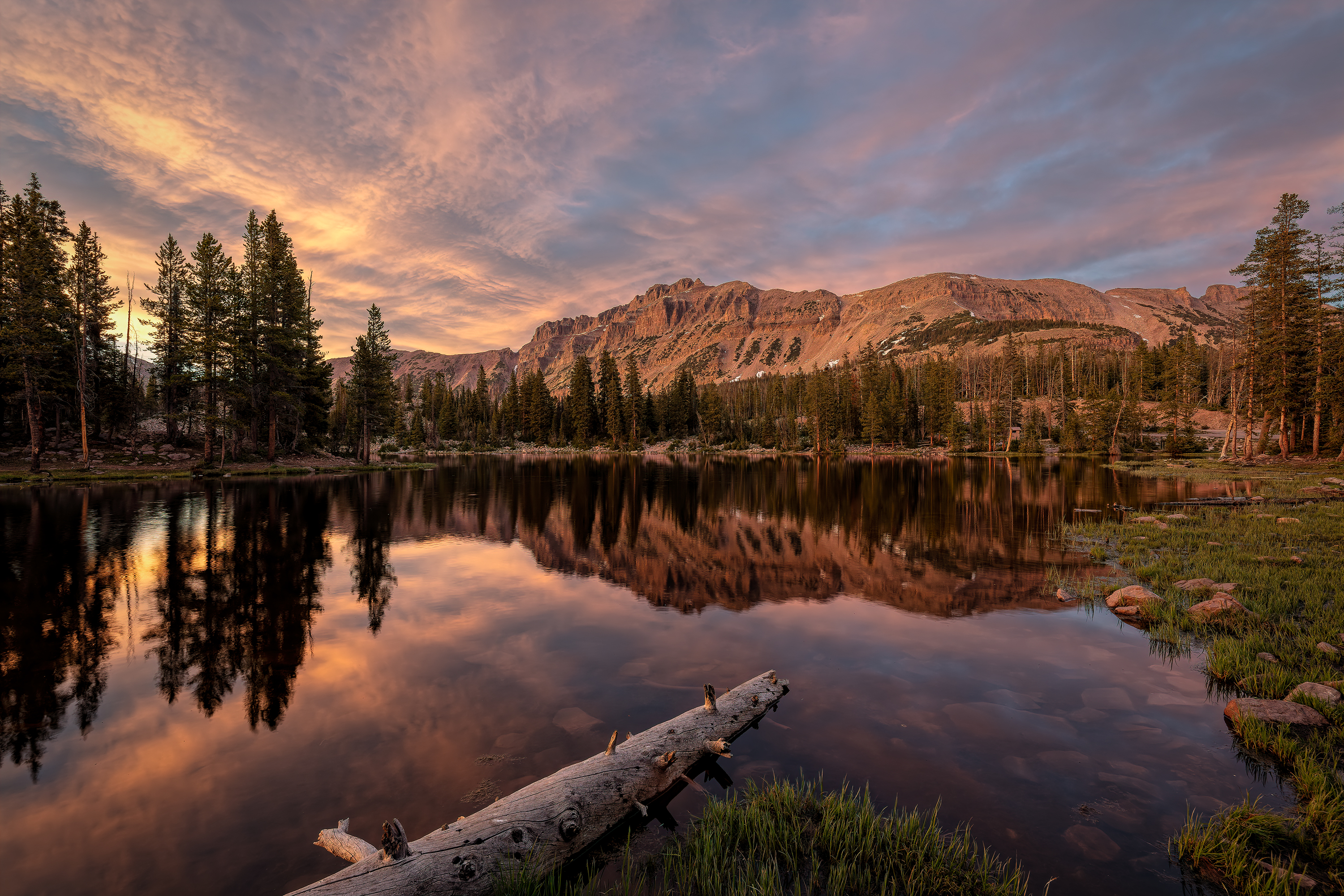 150623-0359-5DS- R-CR2_DxO_DeepPRIME.jpg