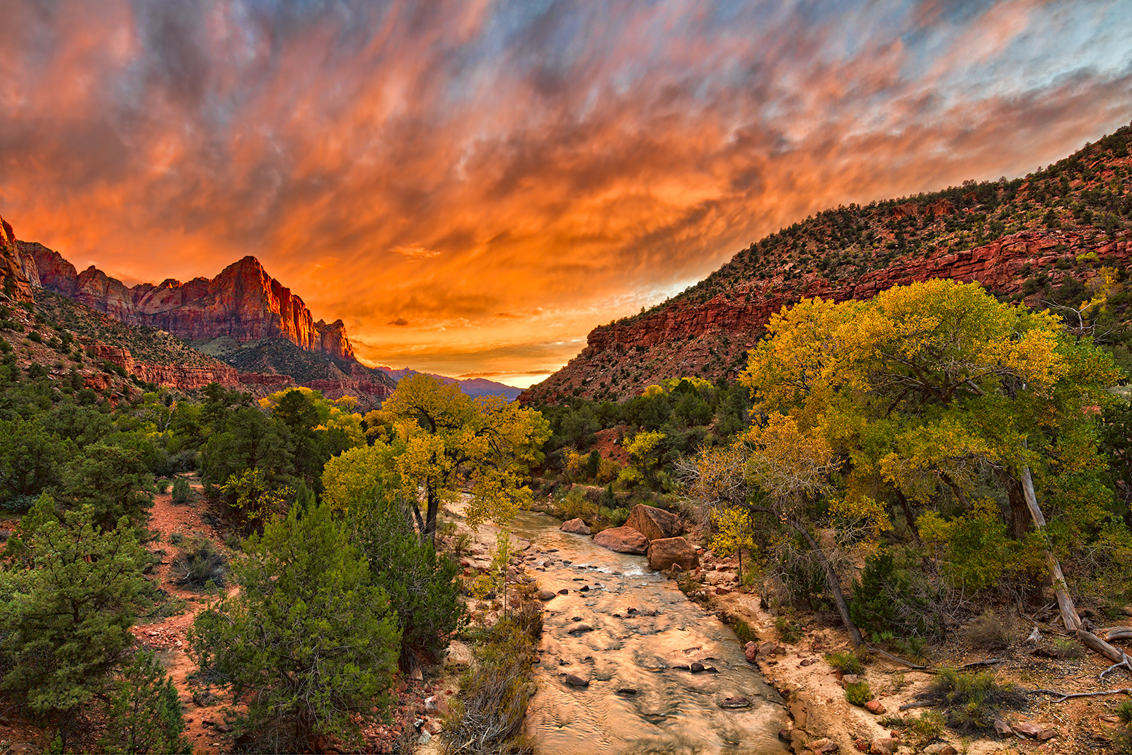 151103-3272-5DS- R-HDR(2) 5DR NAR BRIGHT Cppt 5 Cc Partioal 11 Levels D&B Sharp Blnd2