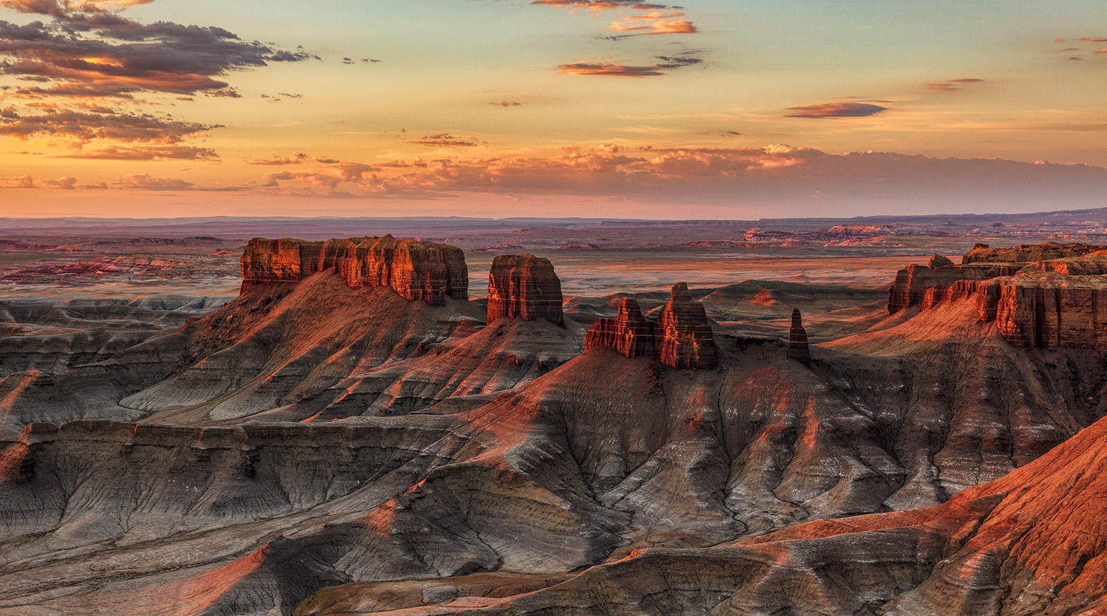 190607-10458-5DS R A CROP