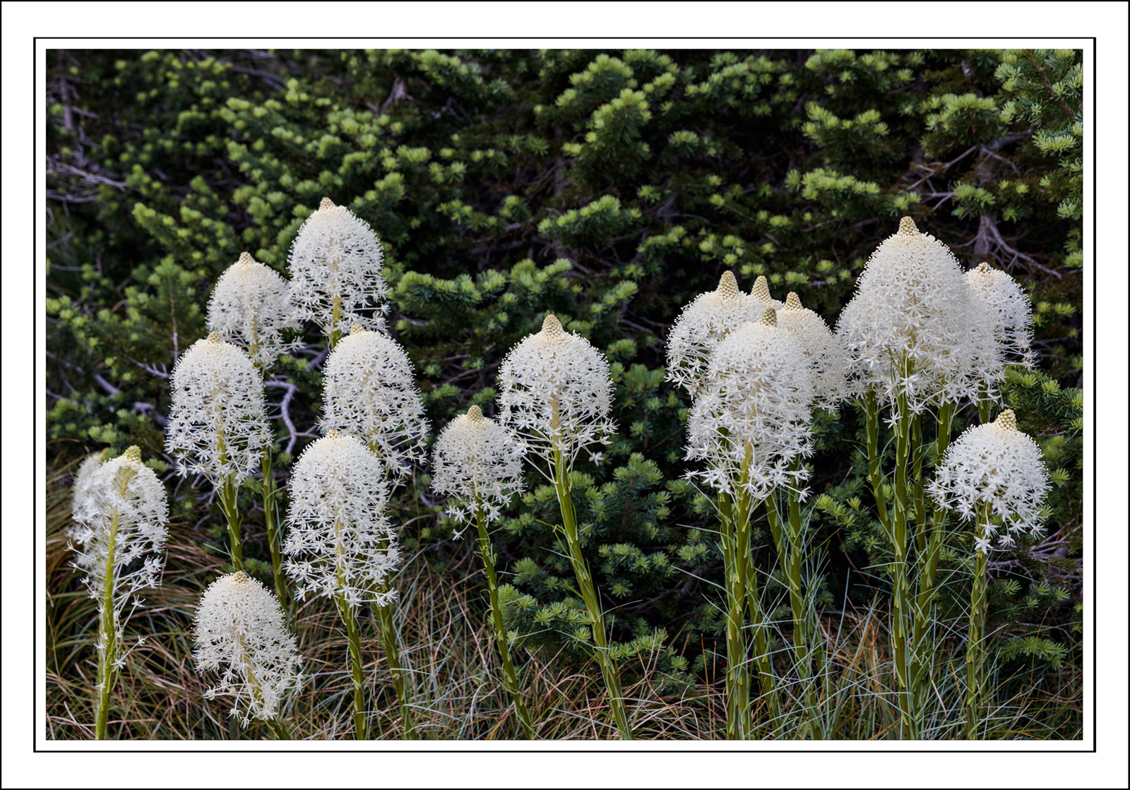 190722-10862-5DS R