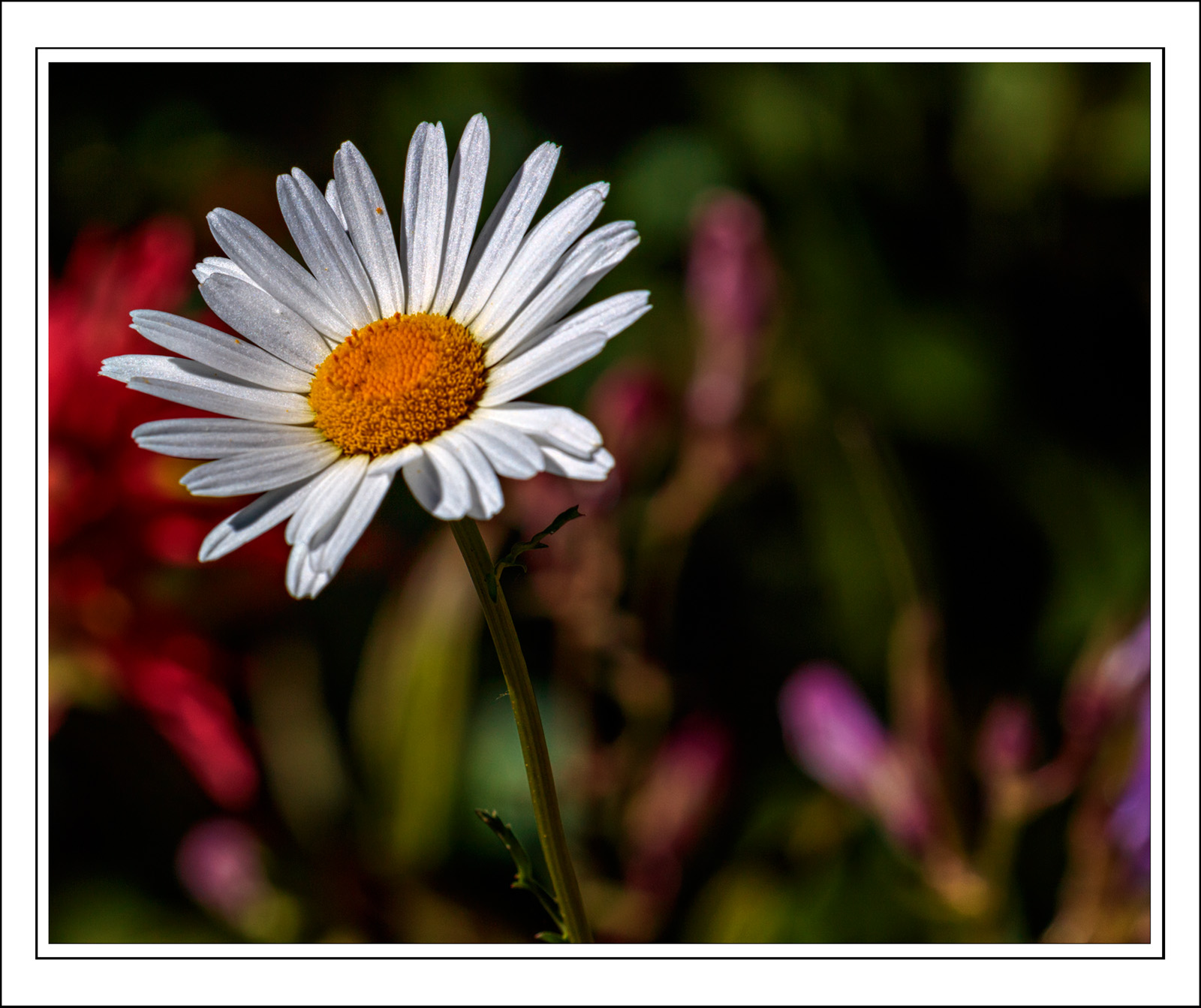 190726-11251-5DS R