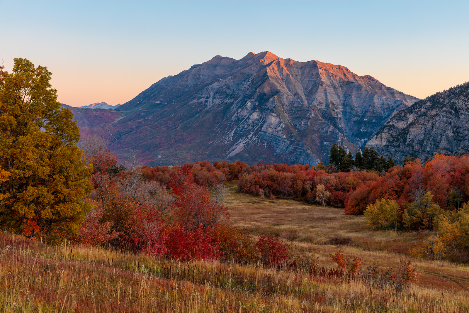 191008-11730-5DS R BEN1 A Copy