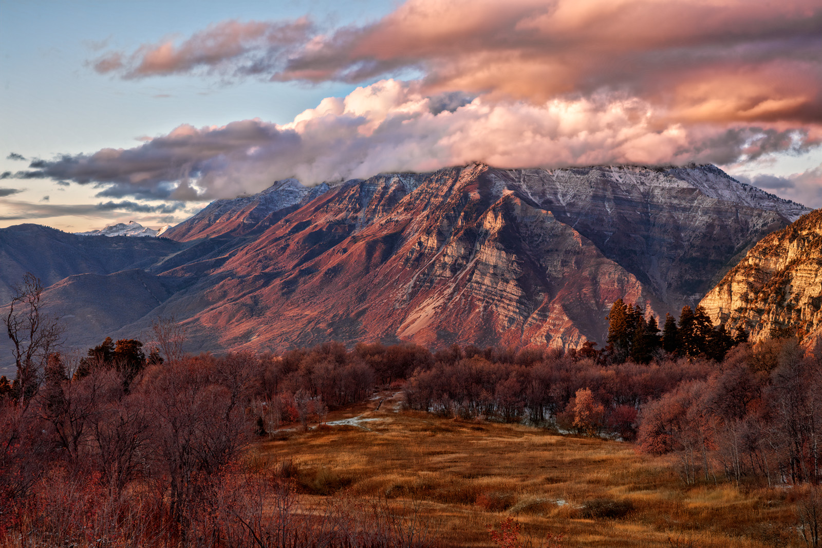 191020-11876-5DS R A Copy