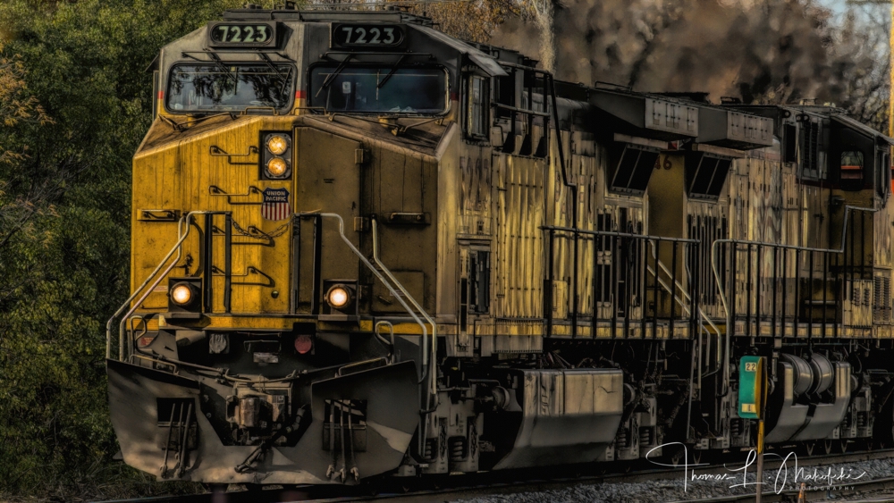 20131025-18610D7K_3751  T6a  Sig  1000