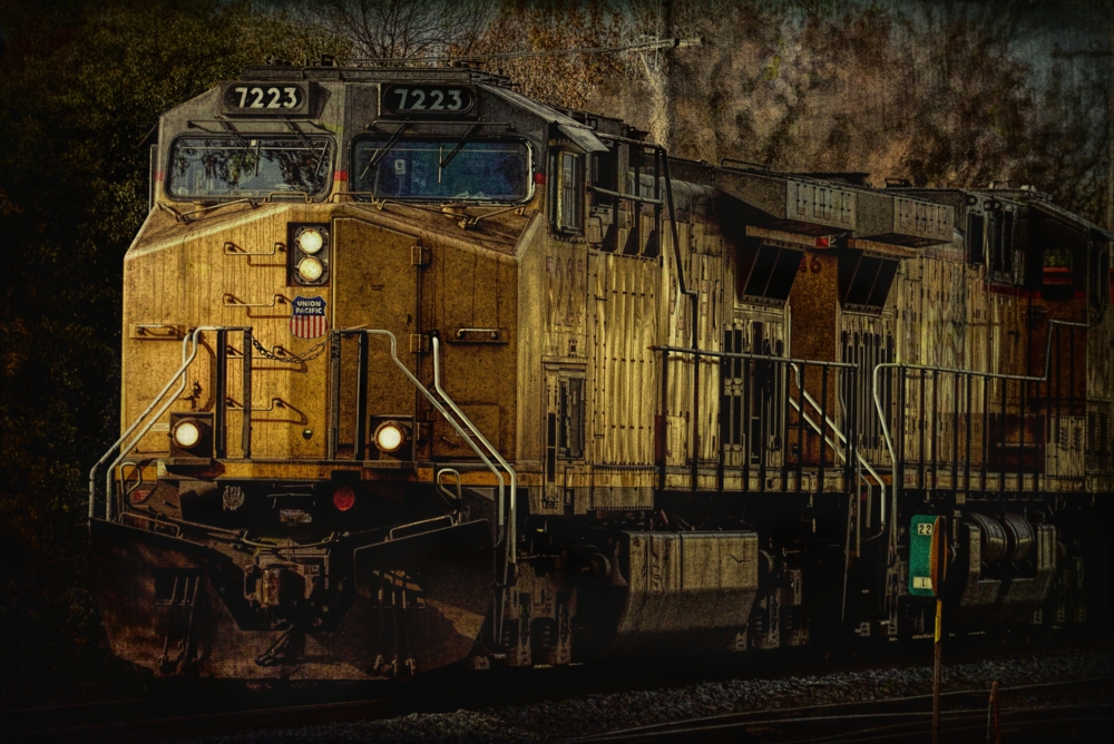 20131025-18610D7K_3751t Ab  1000