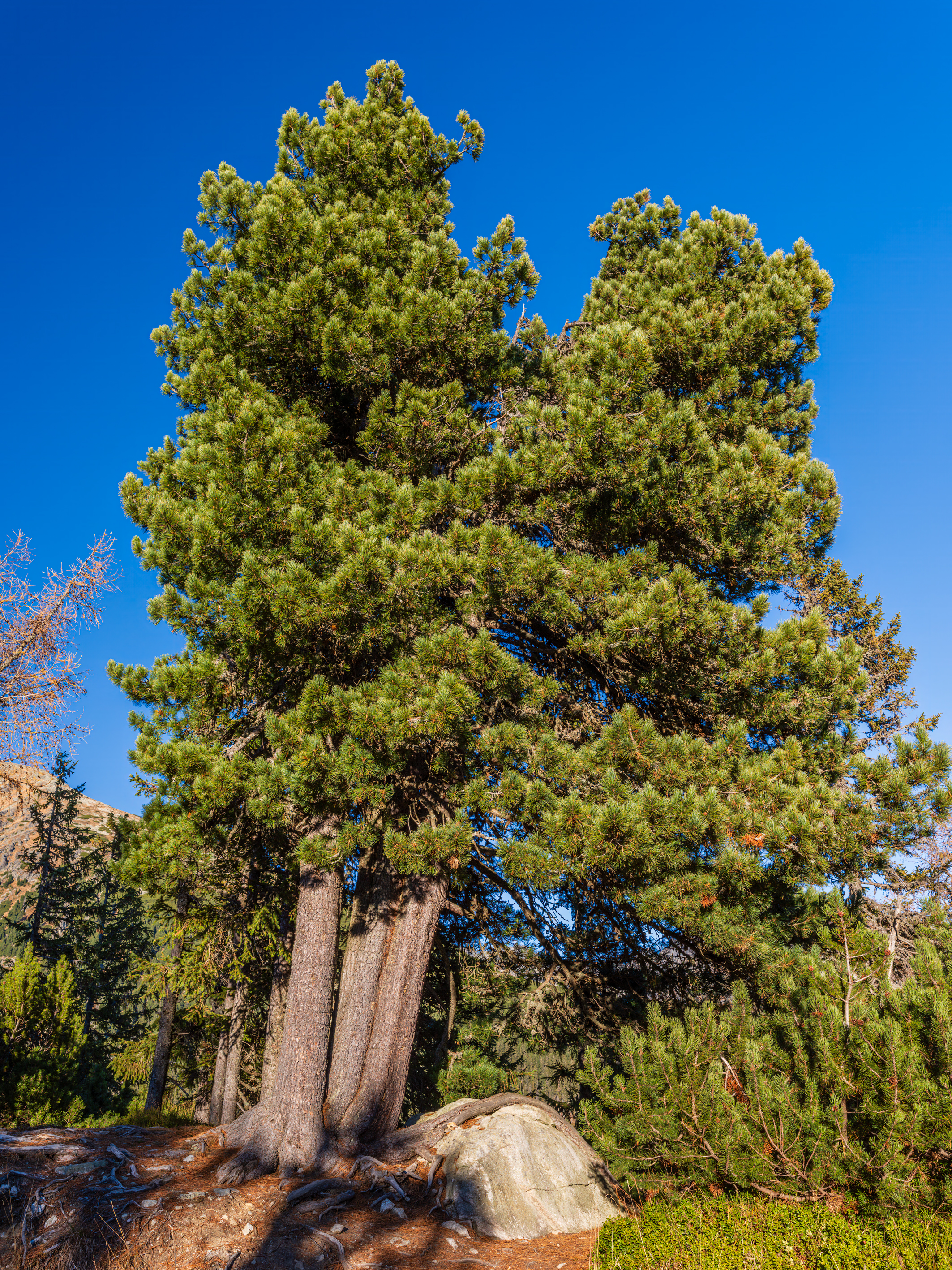 _DSF3188 – Landscape Photo kopie.jpg