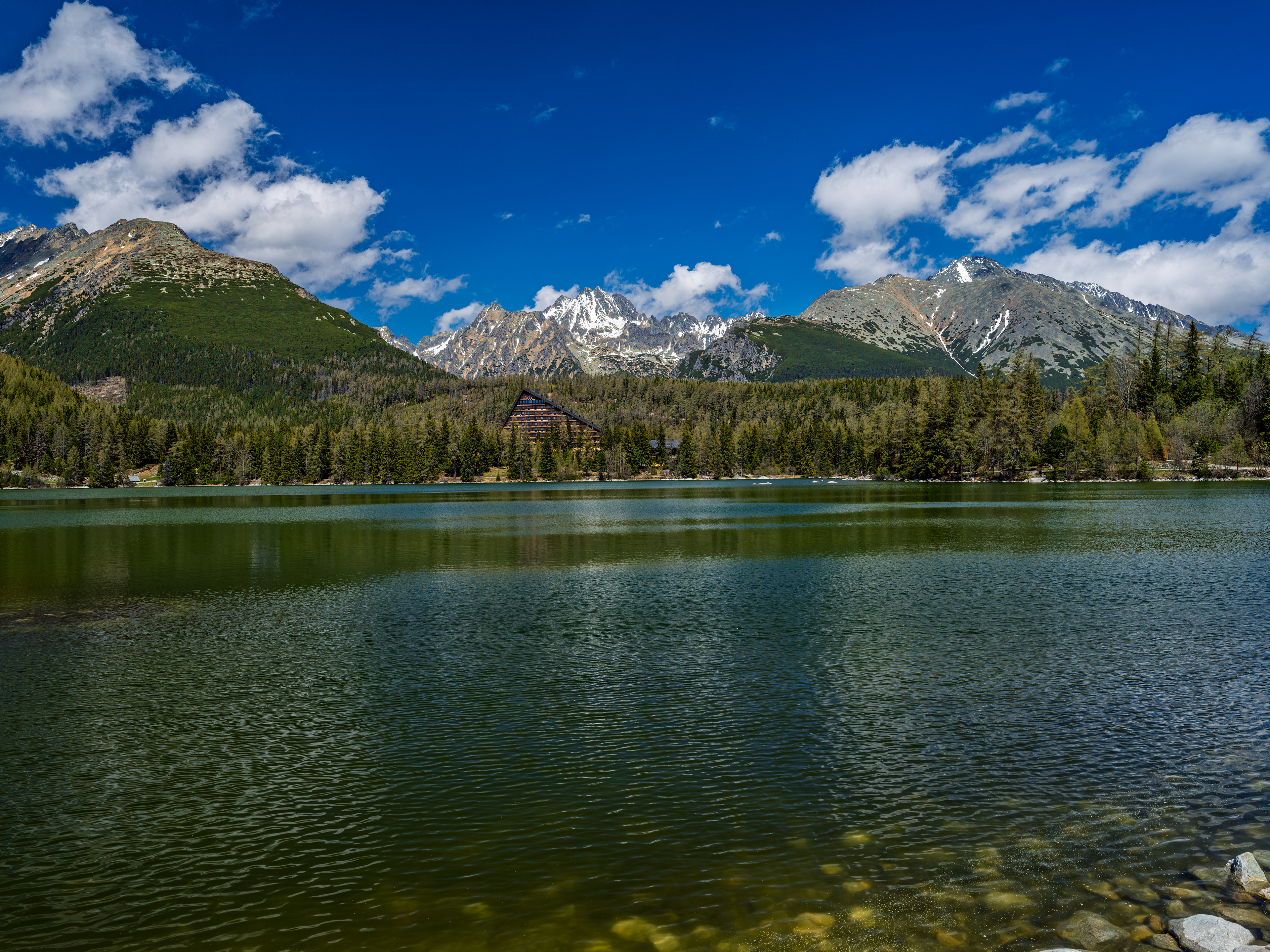 _DSF3366 – Adaptive-Photo new copy.jpg