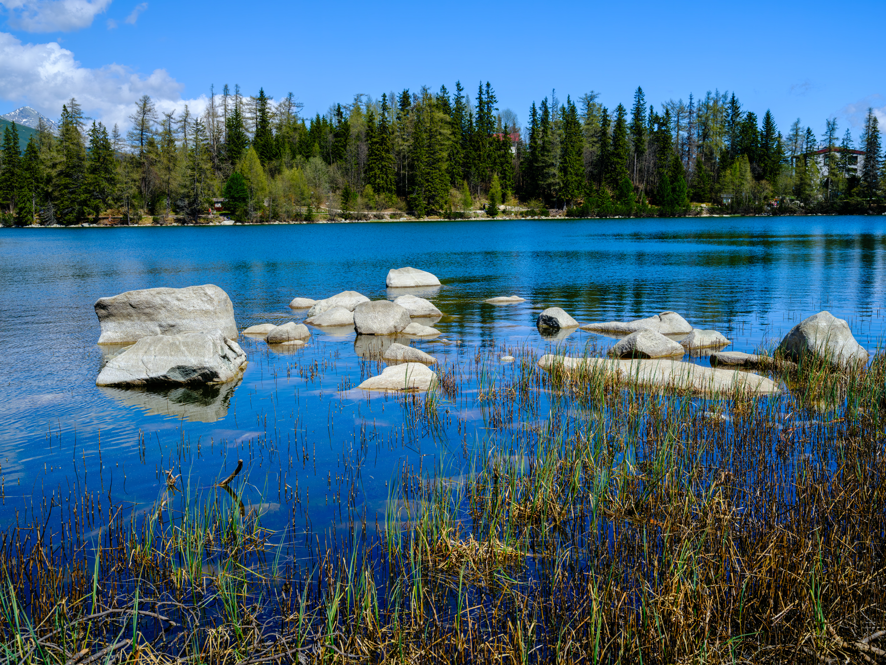 _DSF3399 – Velvia Refocus print copy.jpg