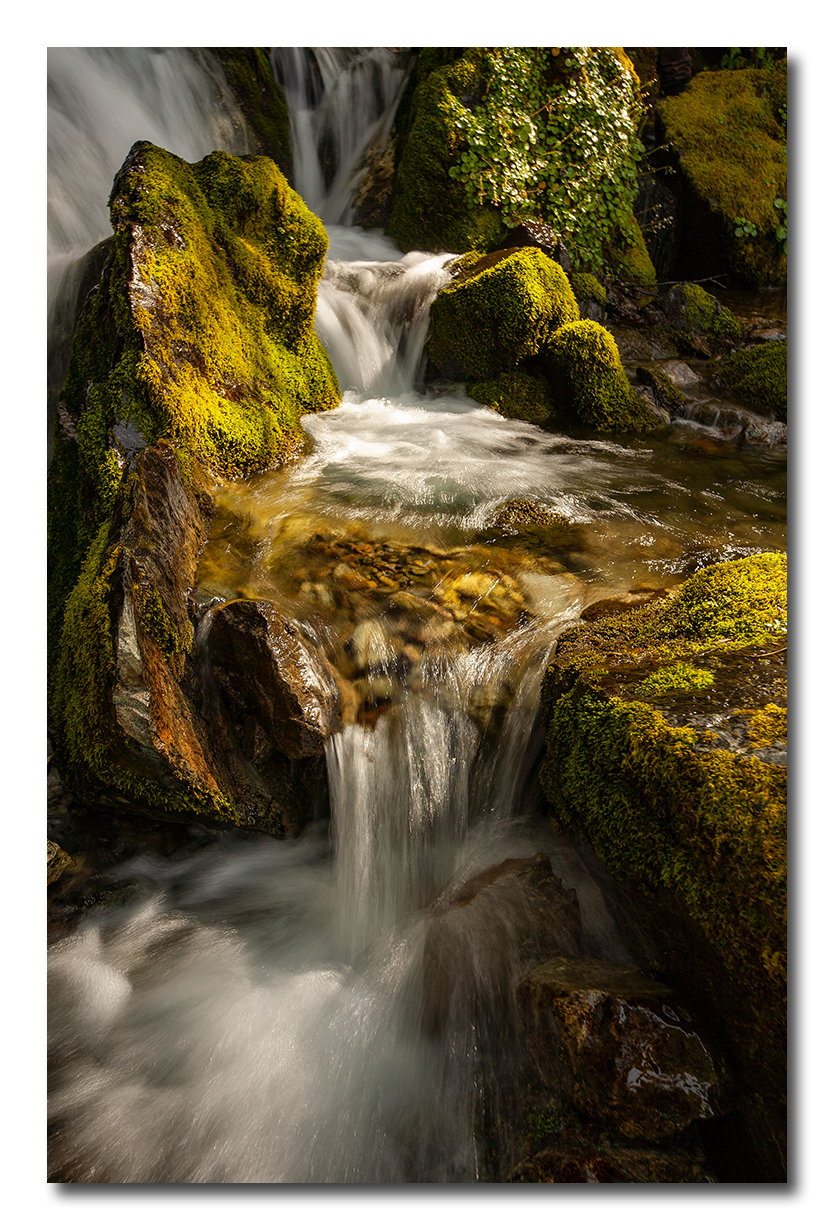 _MG_4259