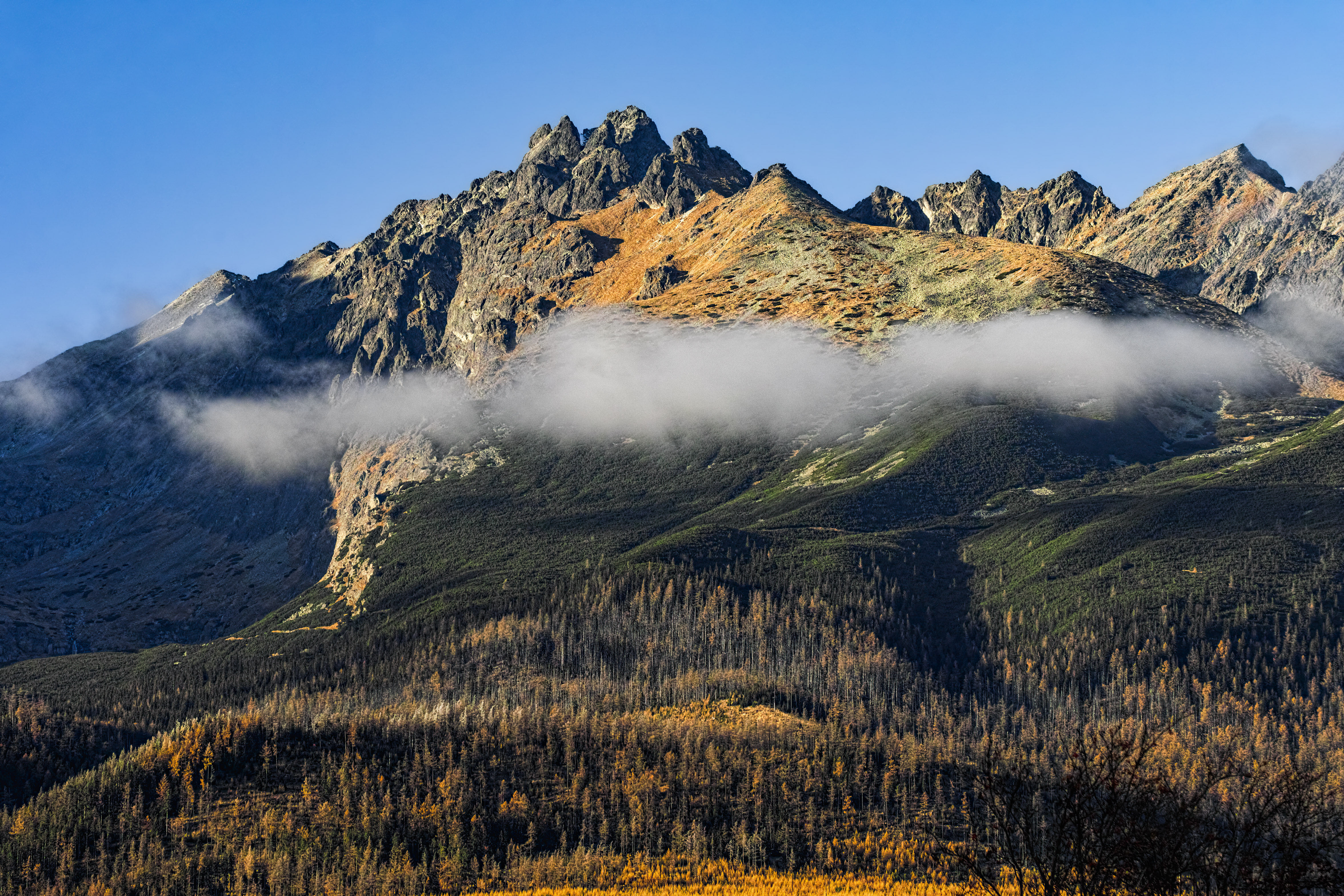 _SDI0201N-GArt kopie.jpg