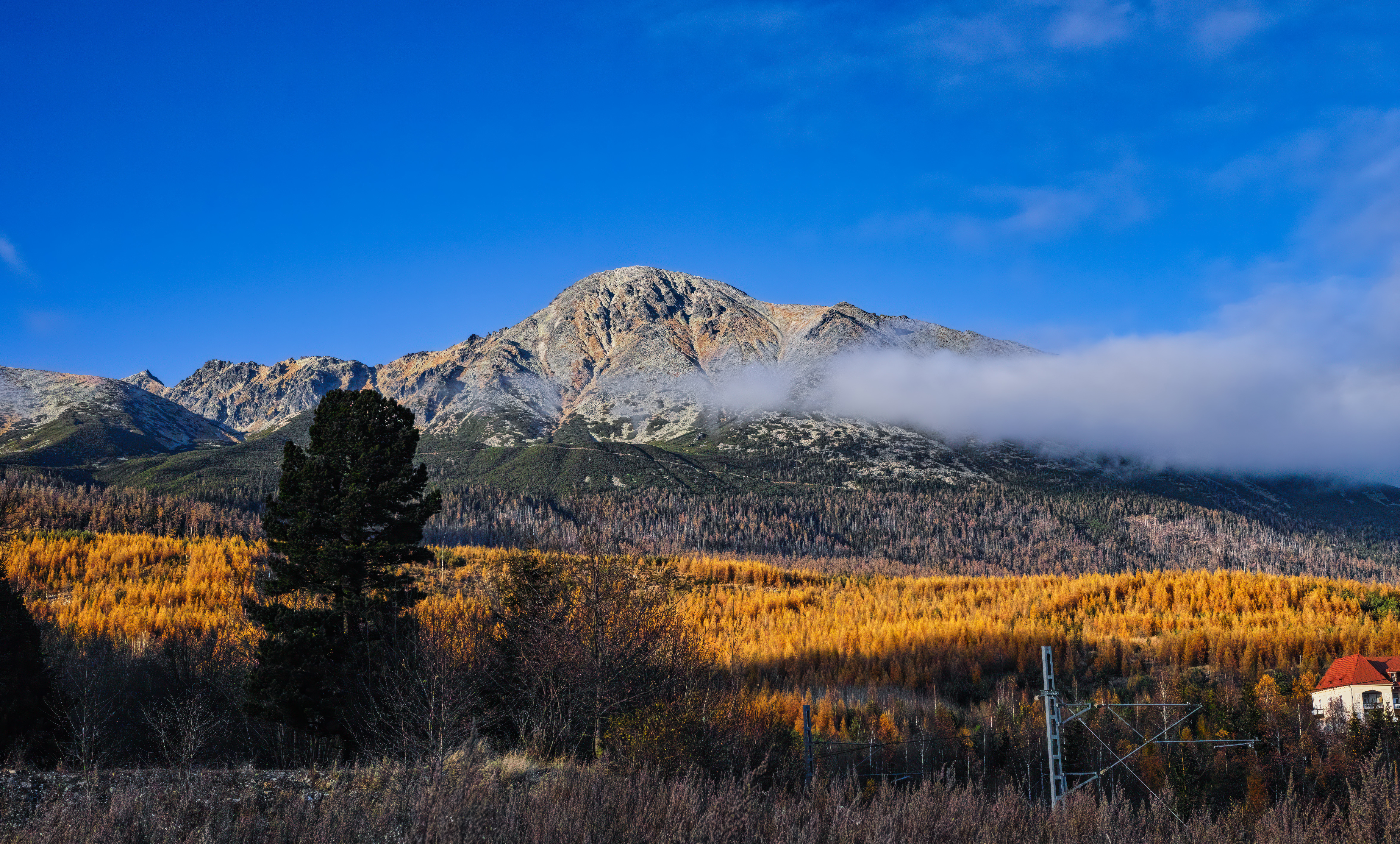 _SDI0205-1GSt. kopie.jpg