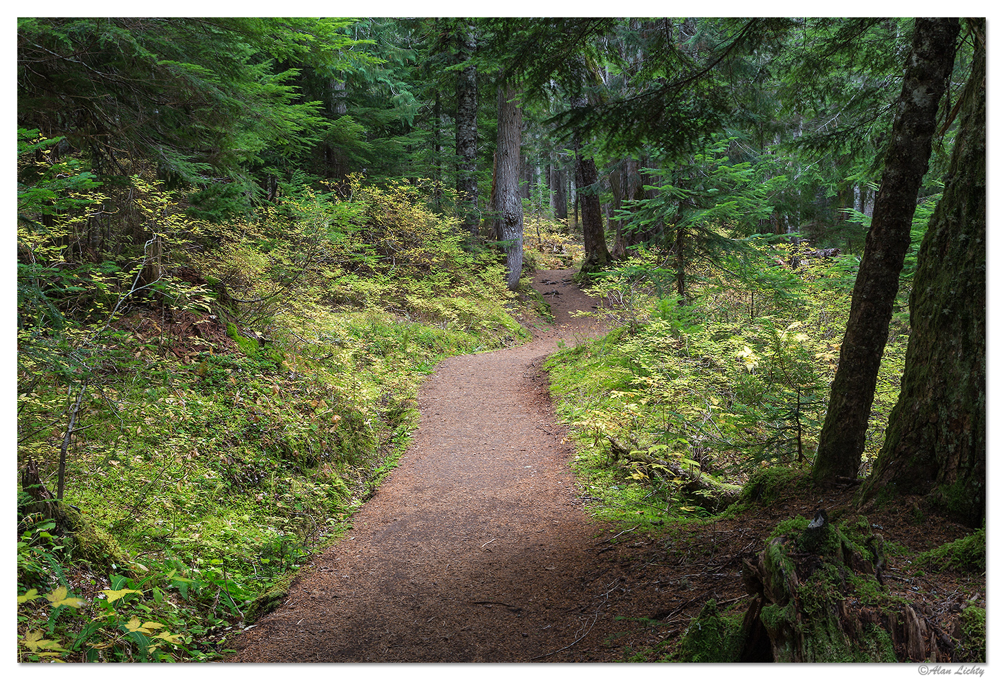 A Winding Path